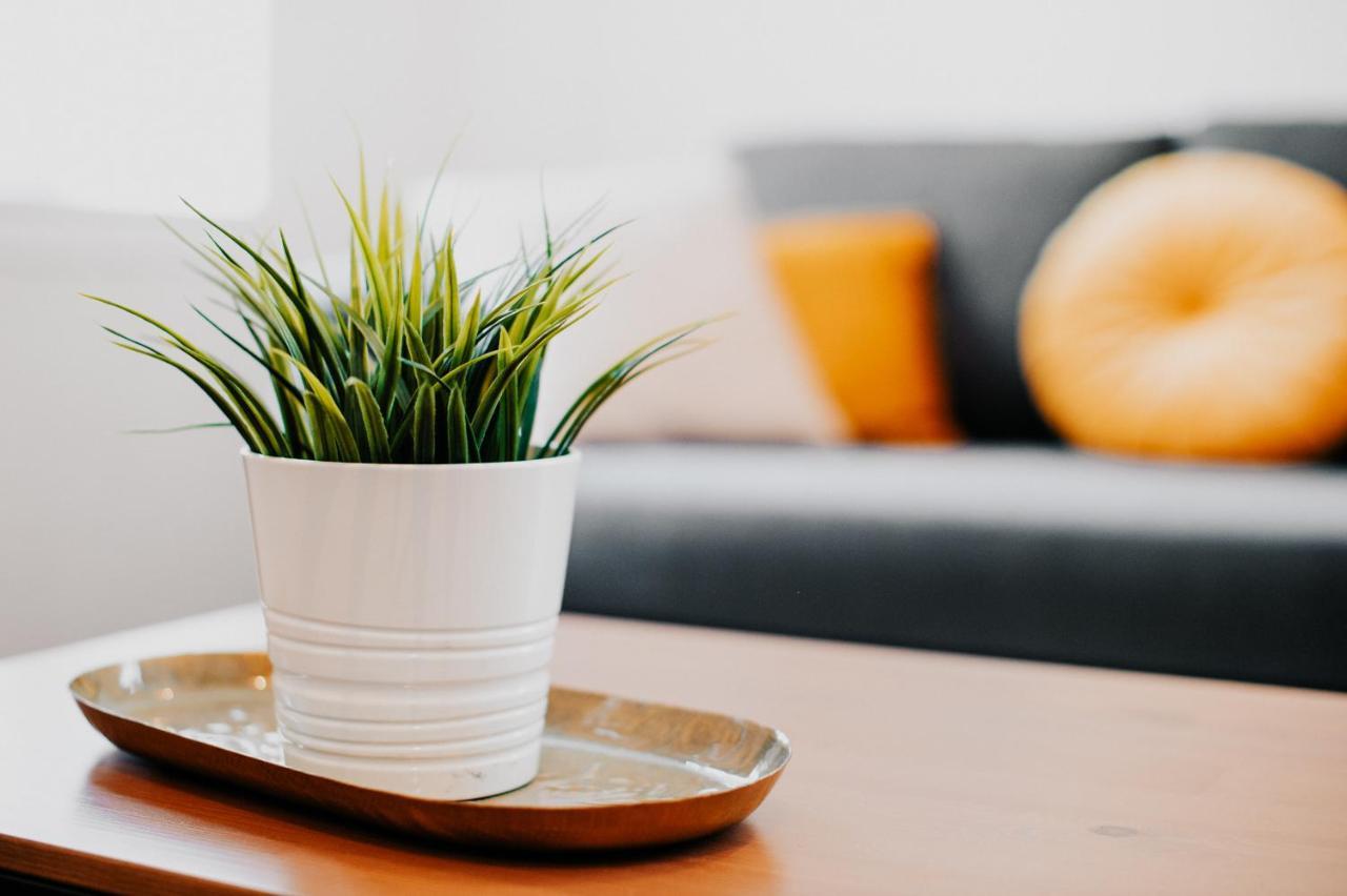 Appartement Cosy Avec Place De Parking Prive Тулуза Экстерьер фото
